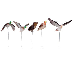 LEMAX Assorted Birds, Set of 5 #84817