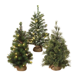 LED-Lighted Pine Trees with Burlap Base (Set of 3)