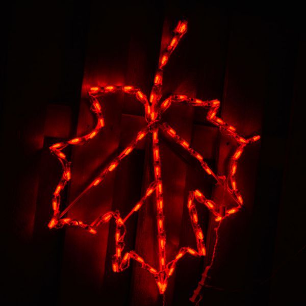 Brite Ideas LED Maple Leaf Red Lighted Outdoor Indoor Display – House ...